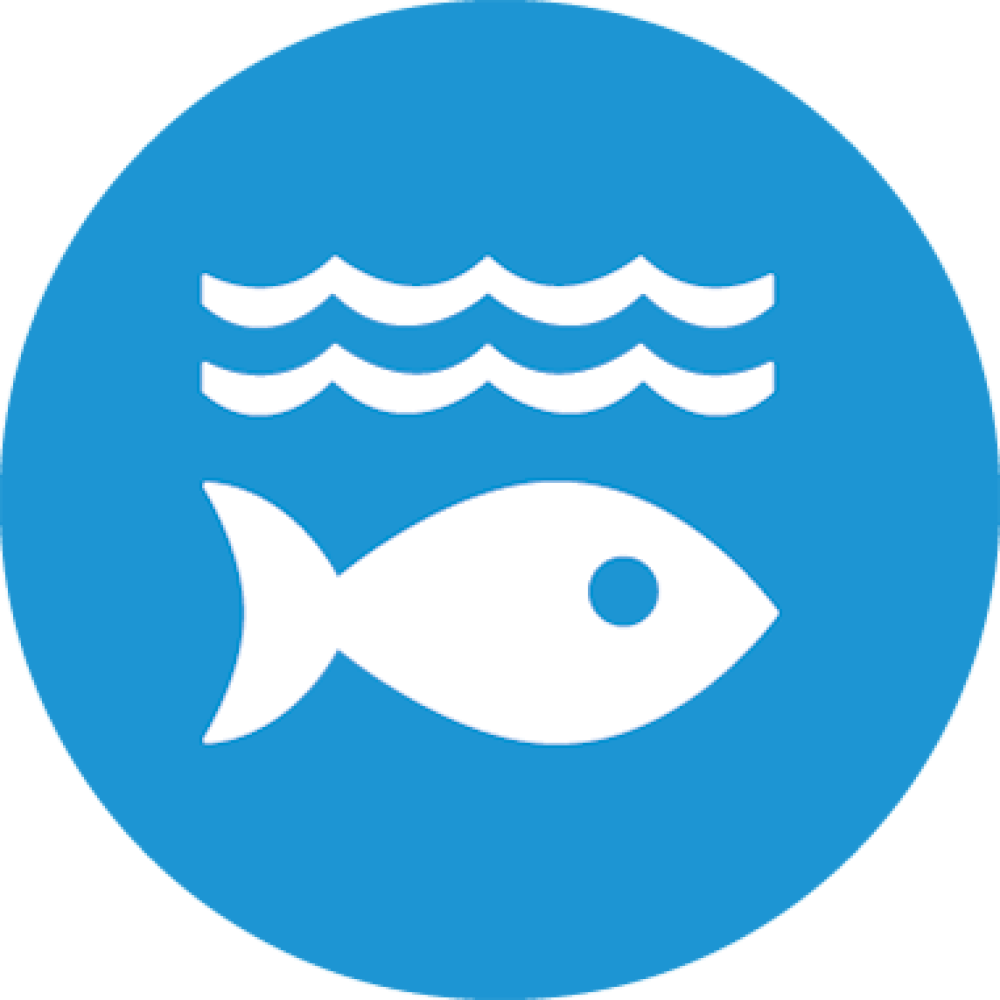 lifebelowwater